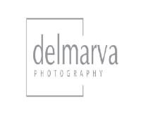 Delmarva Photography image 3